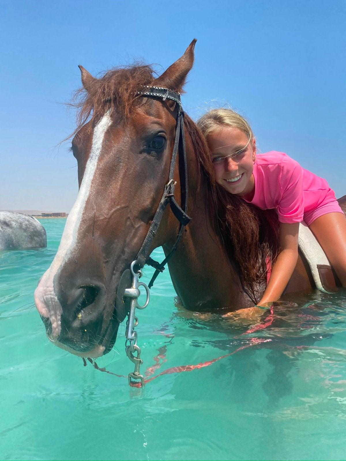 Zoek verzorg pony of paard, Ophalen of Verzenden, Zo goed als nieuw