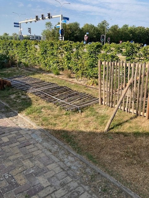 Houten tuinhek met poort en sluitwerk (6m totaal), Ophalen, Met poort, Gebruikt, Tuinhek