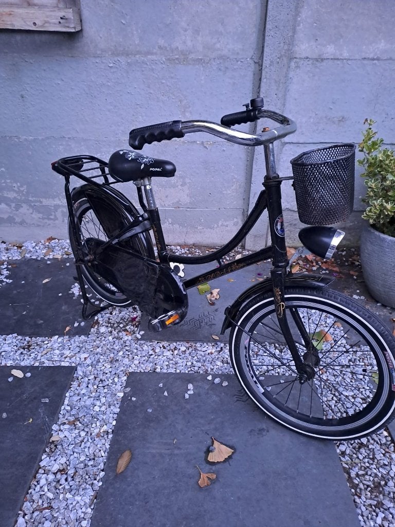 Leuke popal Meiden fiets, Fietsen en Brommers, Fietsen | Meisjes, Ophalen, Terugtraprem, Gebruikt, Popal