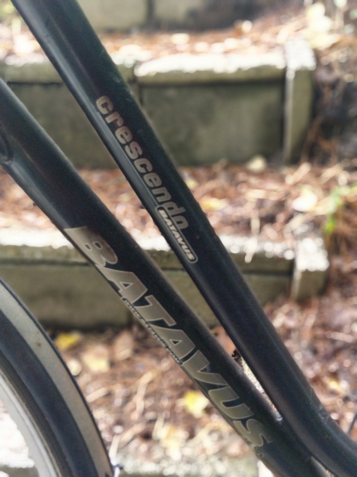 Batavus Crescendo Damesfiets, Fietsen en Brommers, Ophalen, Versnellingen, Batavus, Trommelrem