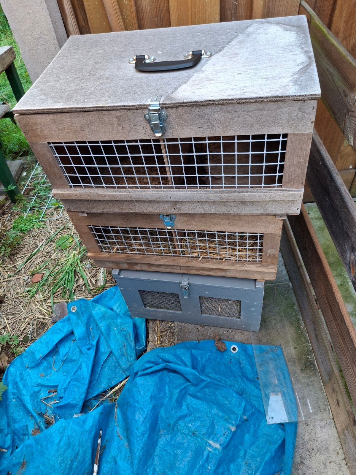 nog mooie vervoer kisten 3x2, Minder dan 60 cm, Kooi, Gebruikt, Minder dan 75 cm