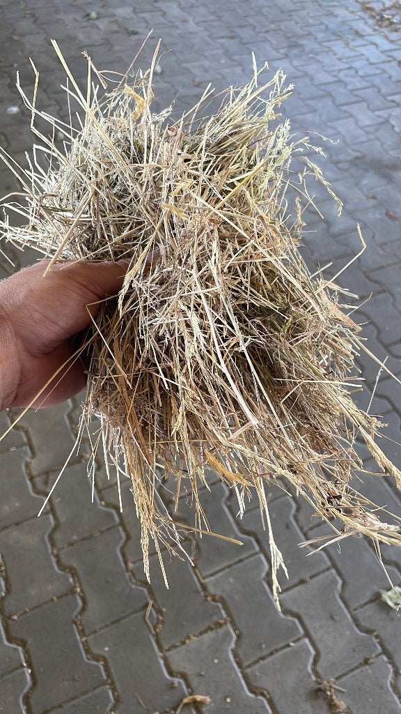 Grote pakken hooi, Ophalen, Nieuw, Overige disciplines