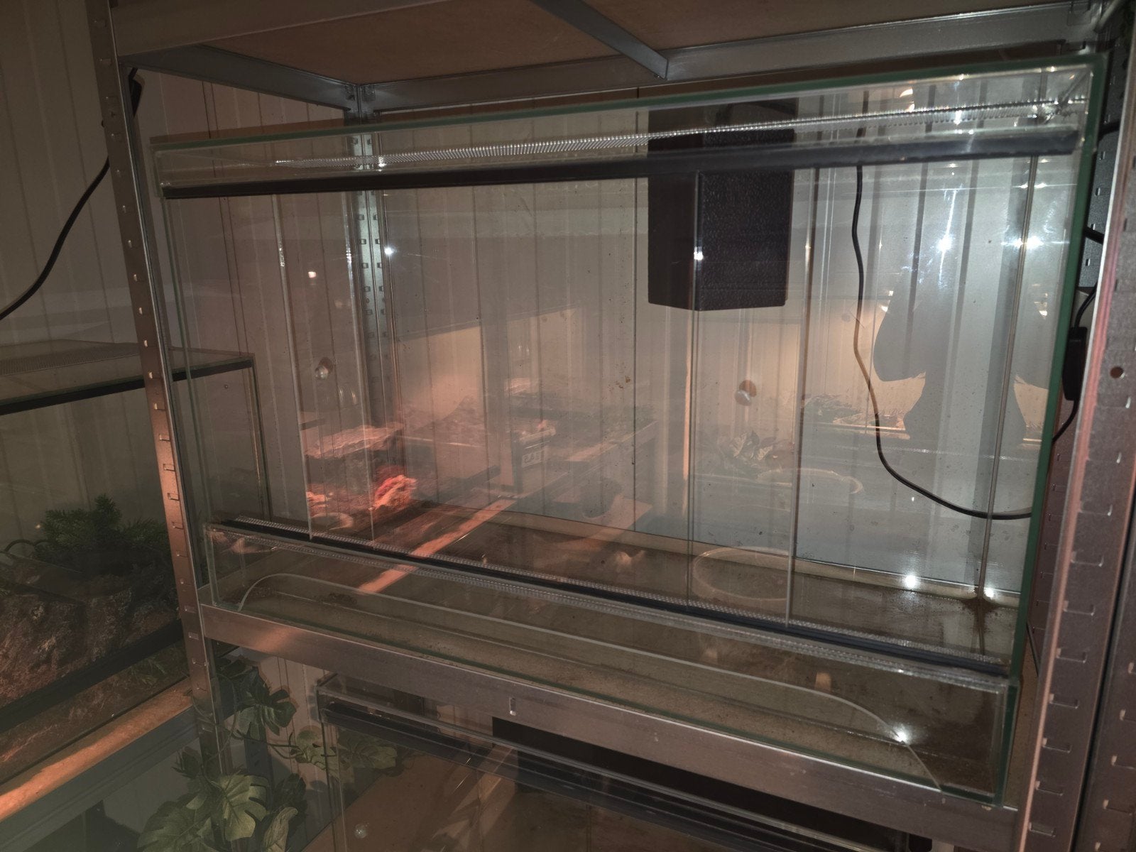 Terrarium, Ophalen, 75 tot 110 cm, Kooi, Minder dan 60 cm