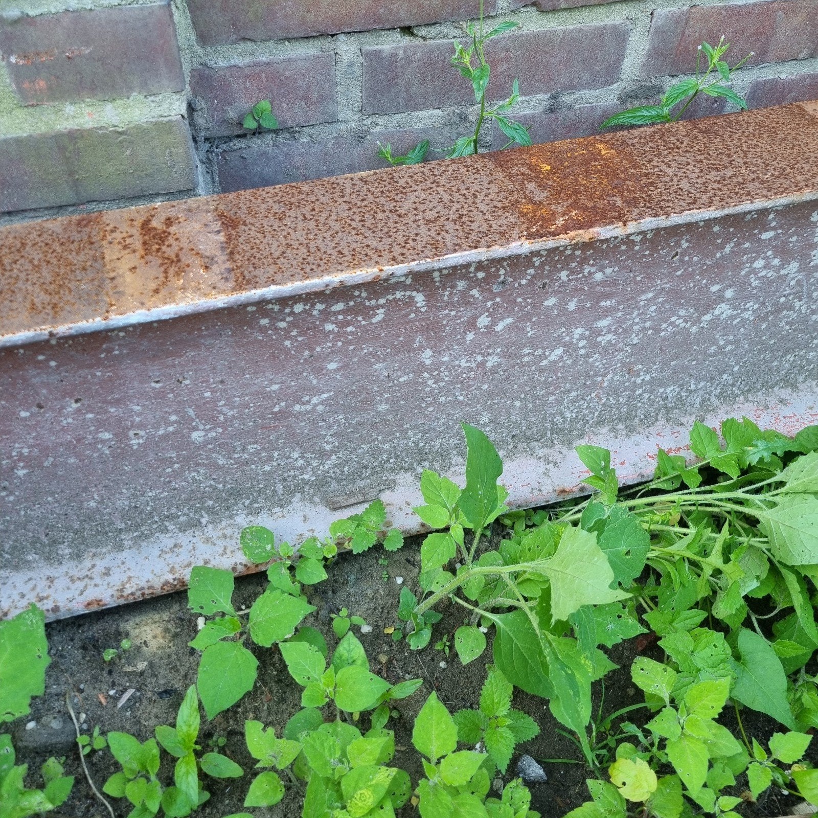 IPE Stalen Balk - 11,5 cm breed, 26 cm hoog, 700 cm lang, Doe-het-zelf en Verbouw, Ophalen of Verzenden