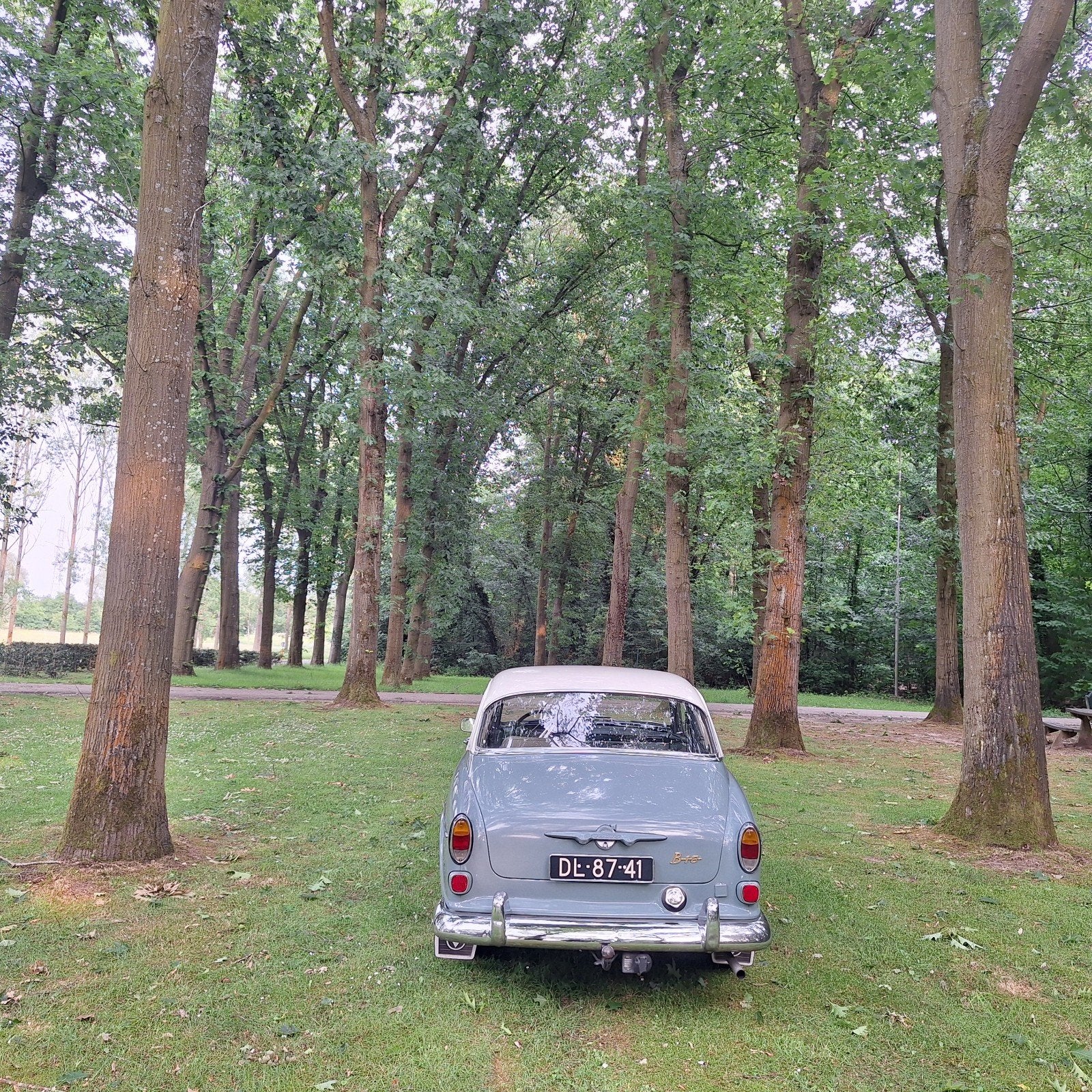 Prachtige Volvo Amazon uit 1962, foto 4
