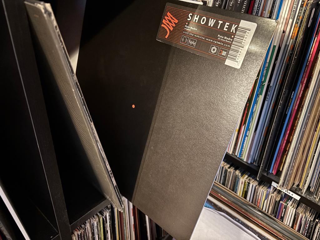 Diversen Hardstyle platen los te koop, Ophalen of Verzenden, Gebruikt, 12 inch, Overige genres