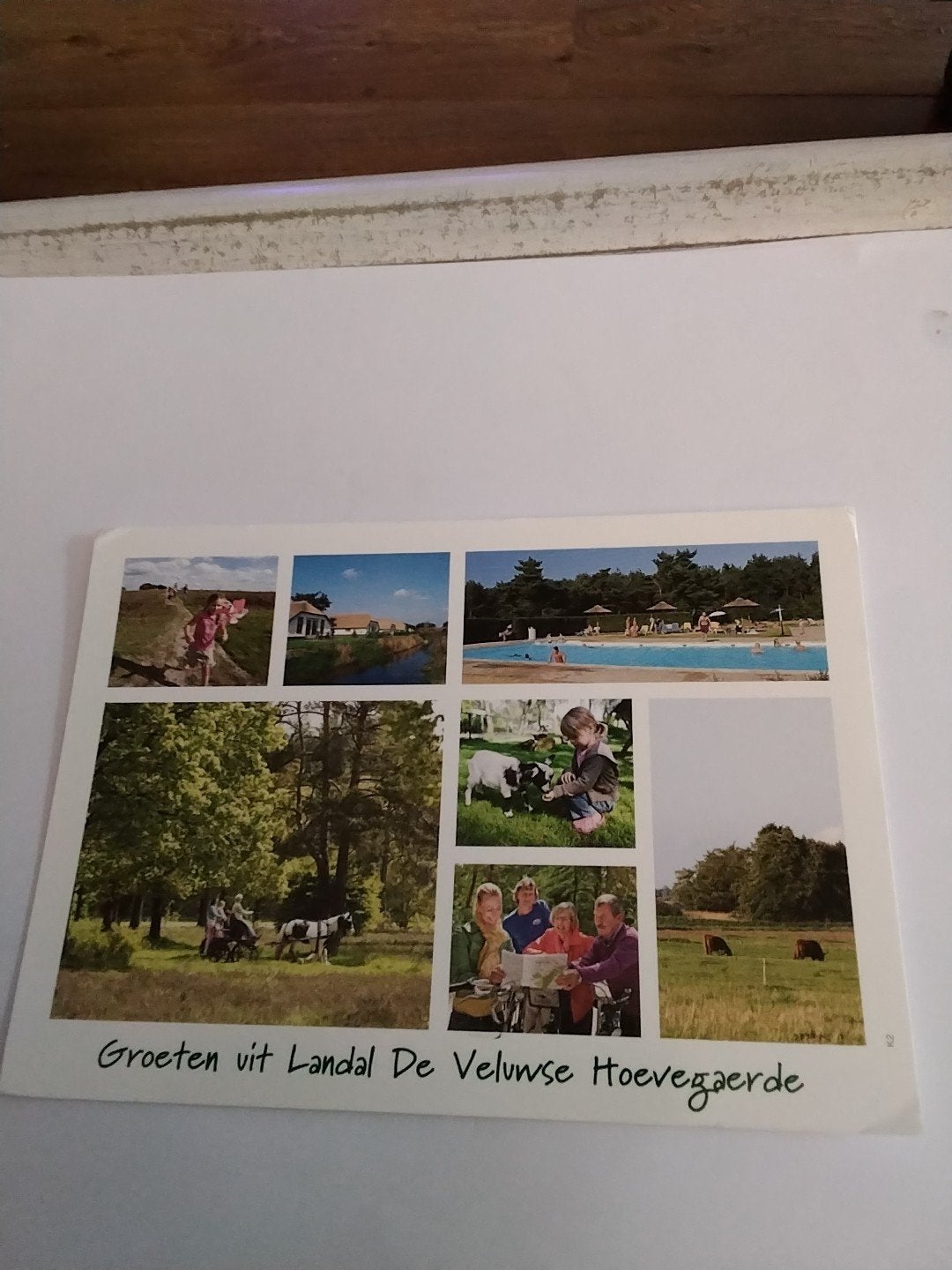 Ansichtkaart Landal De Veluwse Hoevegaerde Gelopen, Ophalen of Verzenden
