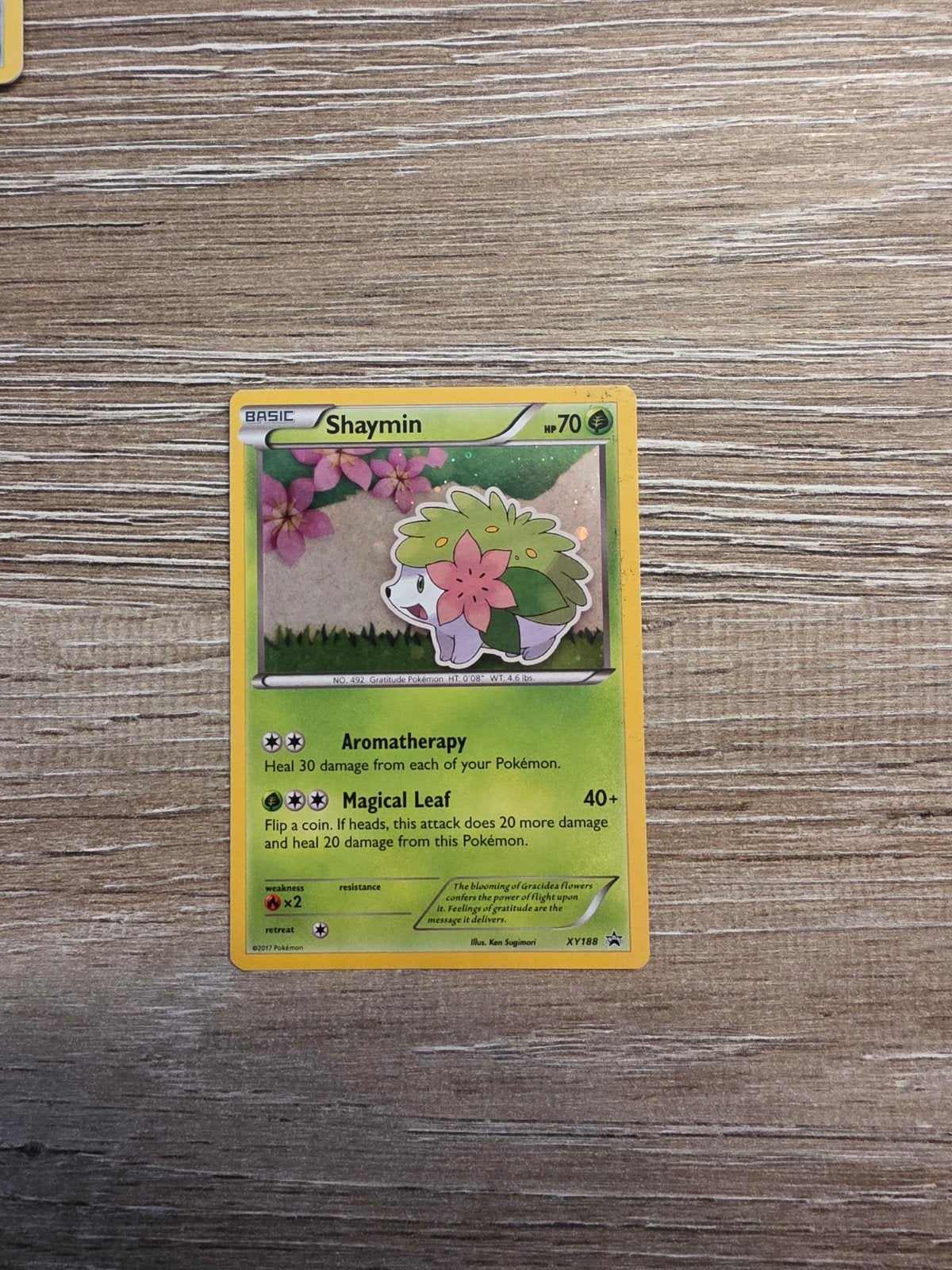 Shaymin XY188 promo, Hobby en Vrije tijd, Ophalen of Verzenden, Zo goed als nieuw