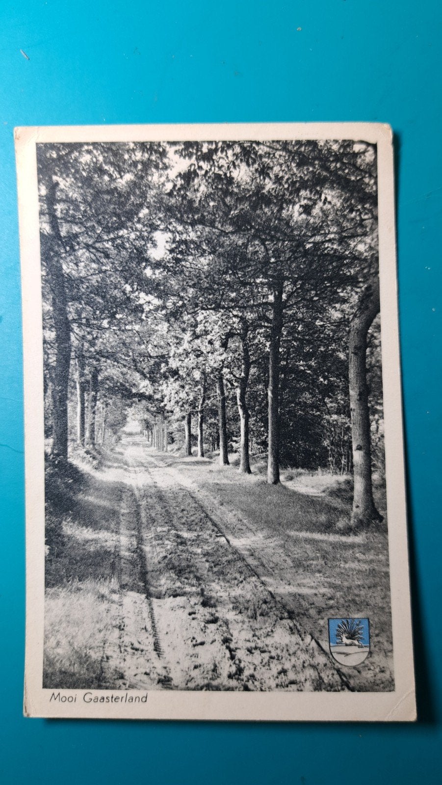 Gaasterland Rijsterbos 1947, Ophalen of Verzenden, 1940 tot 1960, Gelopen, Friesland