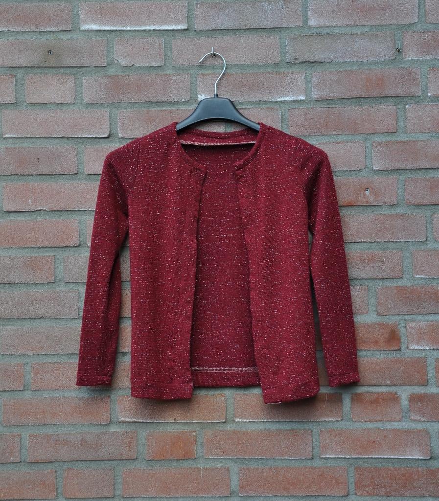 rood vest 134, cardigan 134, kinderkleding 134, Ophalen of Verzenden, Zo goed als nieuw, Meisje, Trui of Vest