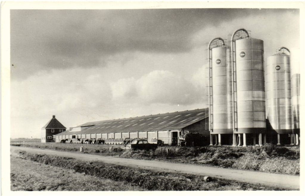 Eemshoeve Spijk - boerenbedrijf - ongelopen, Verzenden, 1960 tot 1980, Gelopen, Groningen