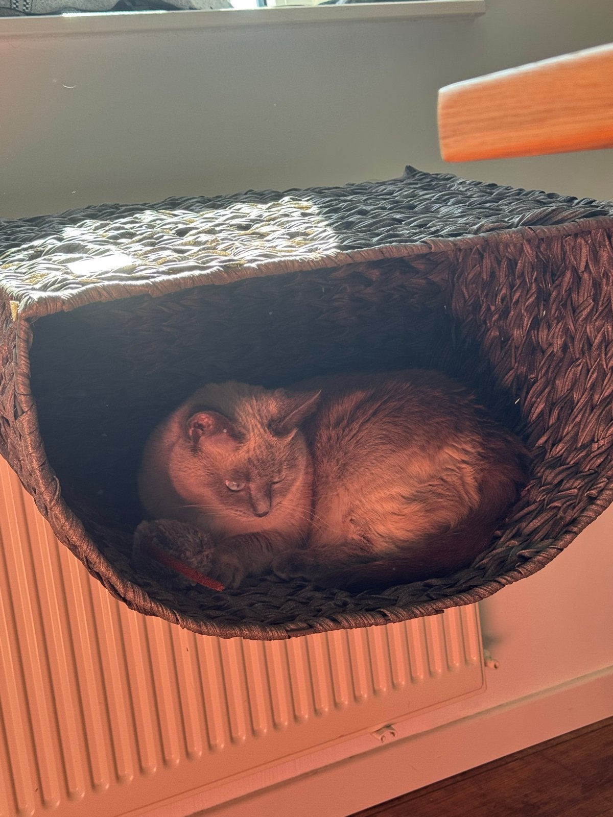 Kattenmand Petlando Radiator Hangmat met zacht grijs kleedje, Dieren en Toebehoren, Katten-accessoires, Ophalen, Zo goed als nieuw