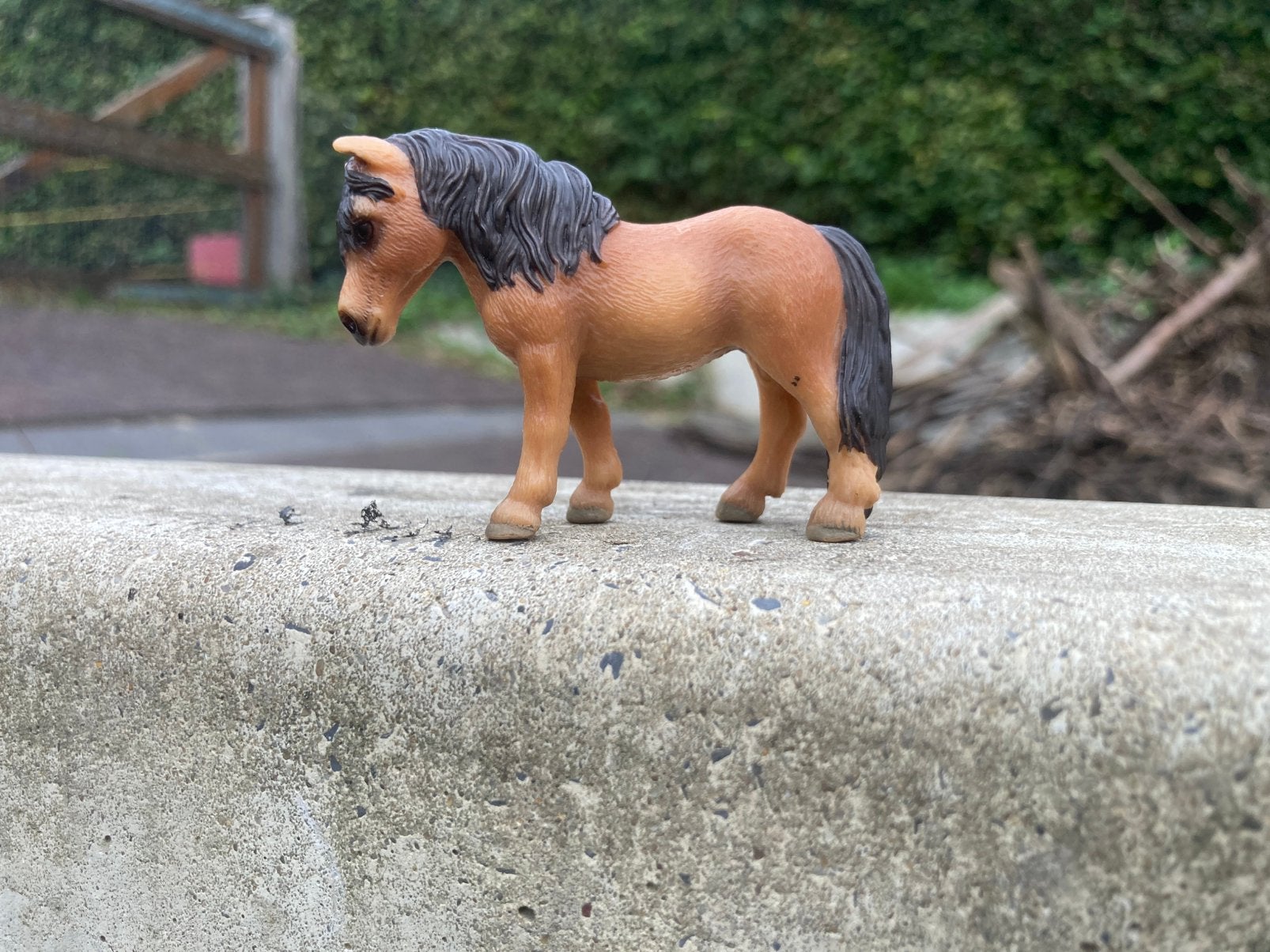 Schleich 82816 falabella merrie exclusief, Ophalen of Verzenden, Zo goed als nieuw, Paard, Beeldje of Figuurtje