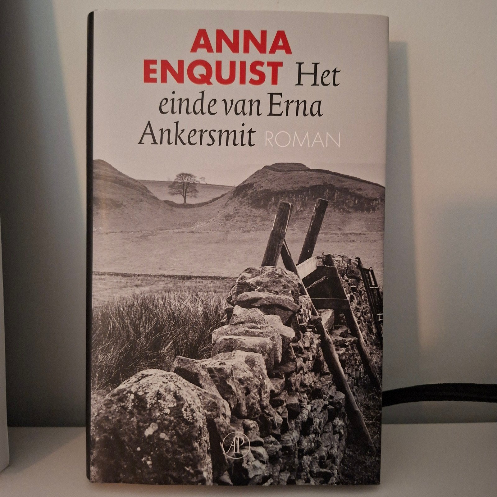 Het einde van Erna Ankersmit - Anna Enquist (Roman), Ophalen of Verzenden, Zo goed als nieuw, Anna Enquist