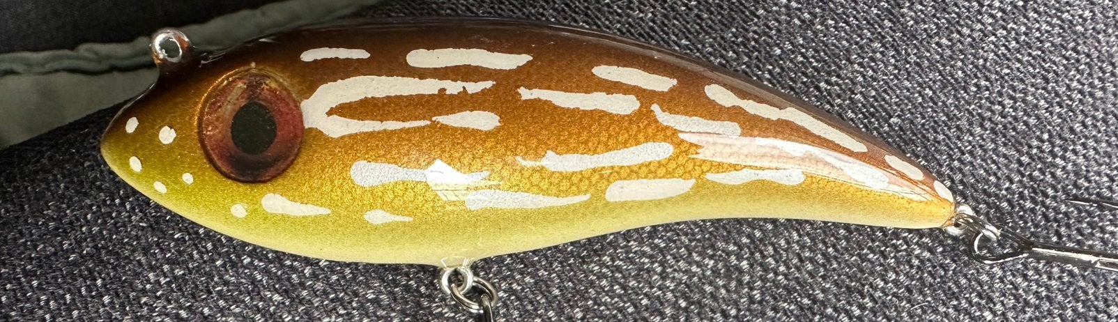 Fishion Lures Rebel Swamp Pike, Watersport en Boten, Hengelsport | Roofvissen, Ophalen of Verzenden, Nieuw, Overige typen