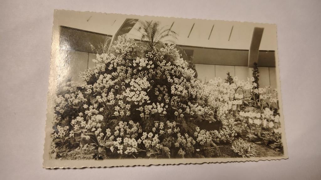 Heemstede BLOEMENTENTOONSTELLING FLORA 15 MAART-19 MEI 1935, Verzamelen, Ophalen of Verzenden