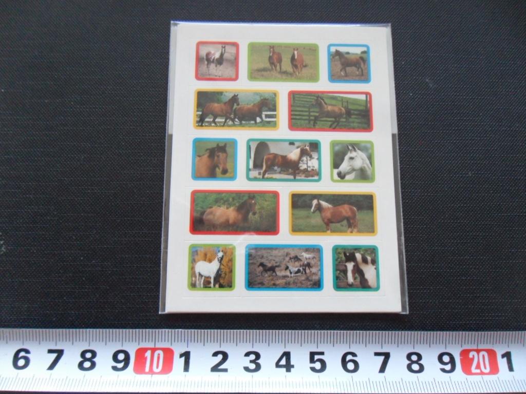 sticker set Paard Paarden GD093, Ophalen, Zo goed als nieuw