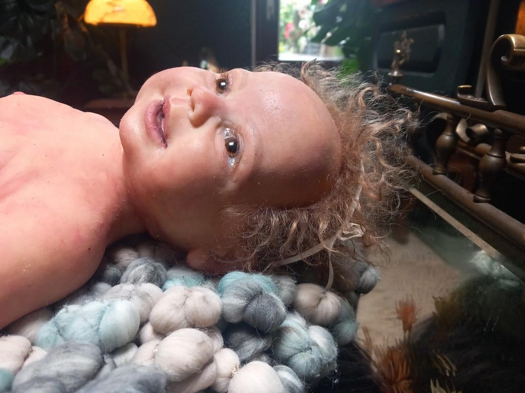 Full body siliconen reborn baby, Ophalen of Verzenden, Nieuw, Overige typen