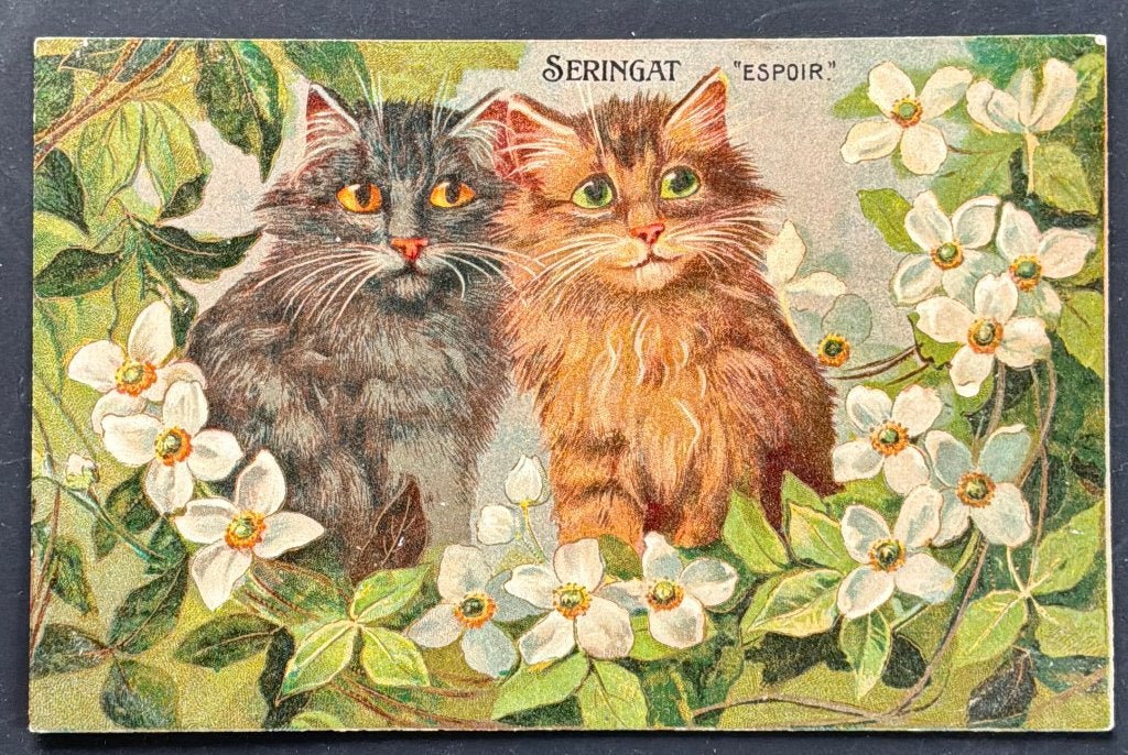 2 katten tussen witte boerenjasmijn Maurice Boulanger 1905, Ophalen of Verzenden, Voor 1920, Ongelopen, Overige thema's