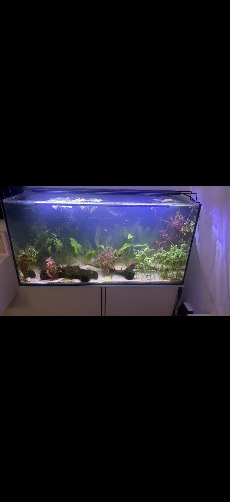 Aquarium 130l inclusief alles, Ophalen, Pomp, Zo goed als nieuw, Gevuld zoetwateraquarium