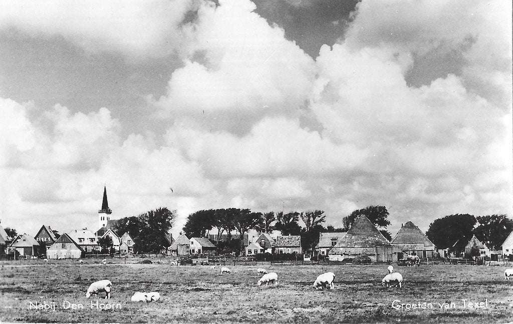 AK Texel - Nabij Den Hoorn, Verzenden, 1960 tot 1980, Ongelopen, Waddeneilanden