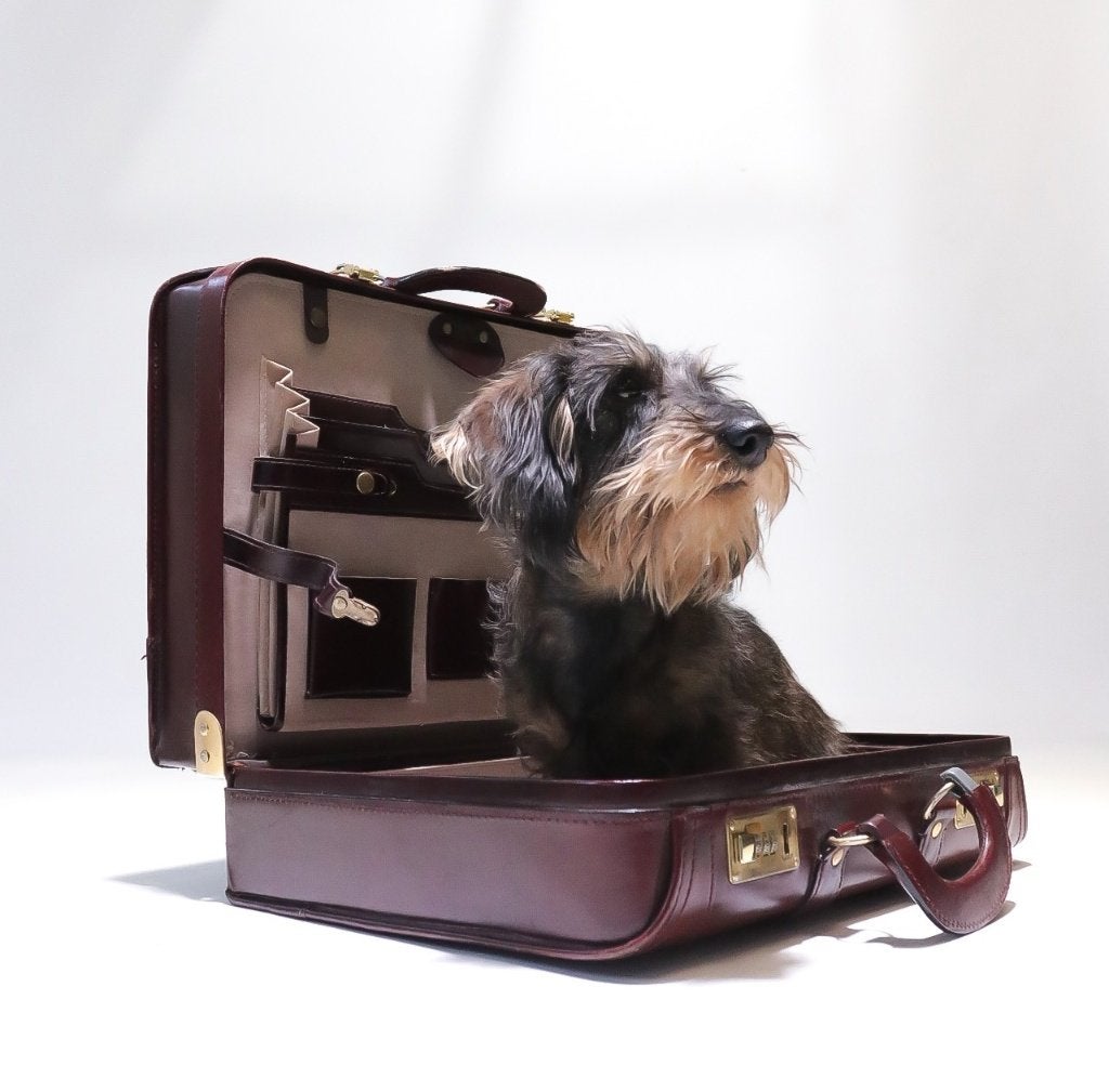 Hollywood Regency Pilotenkoffer Attache Bordeaux, Sieraden, Tassen en Uiterlijk, Ophalen, Gebruikt, Slot, Minder dan 35 cm