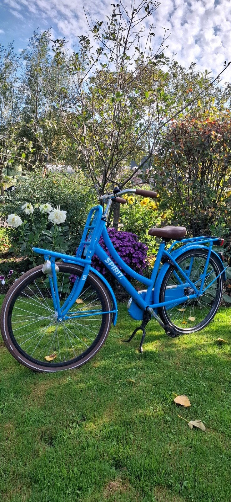 Spirit fiets -26 inch- 3 versnellingen, Ophalen, Gebruikt, Overige merken, Versnellingen