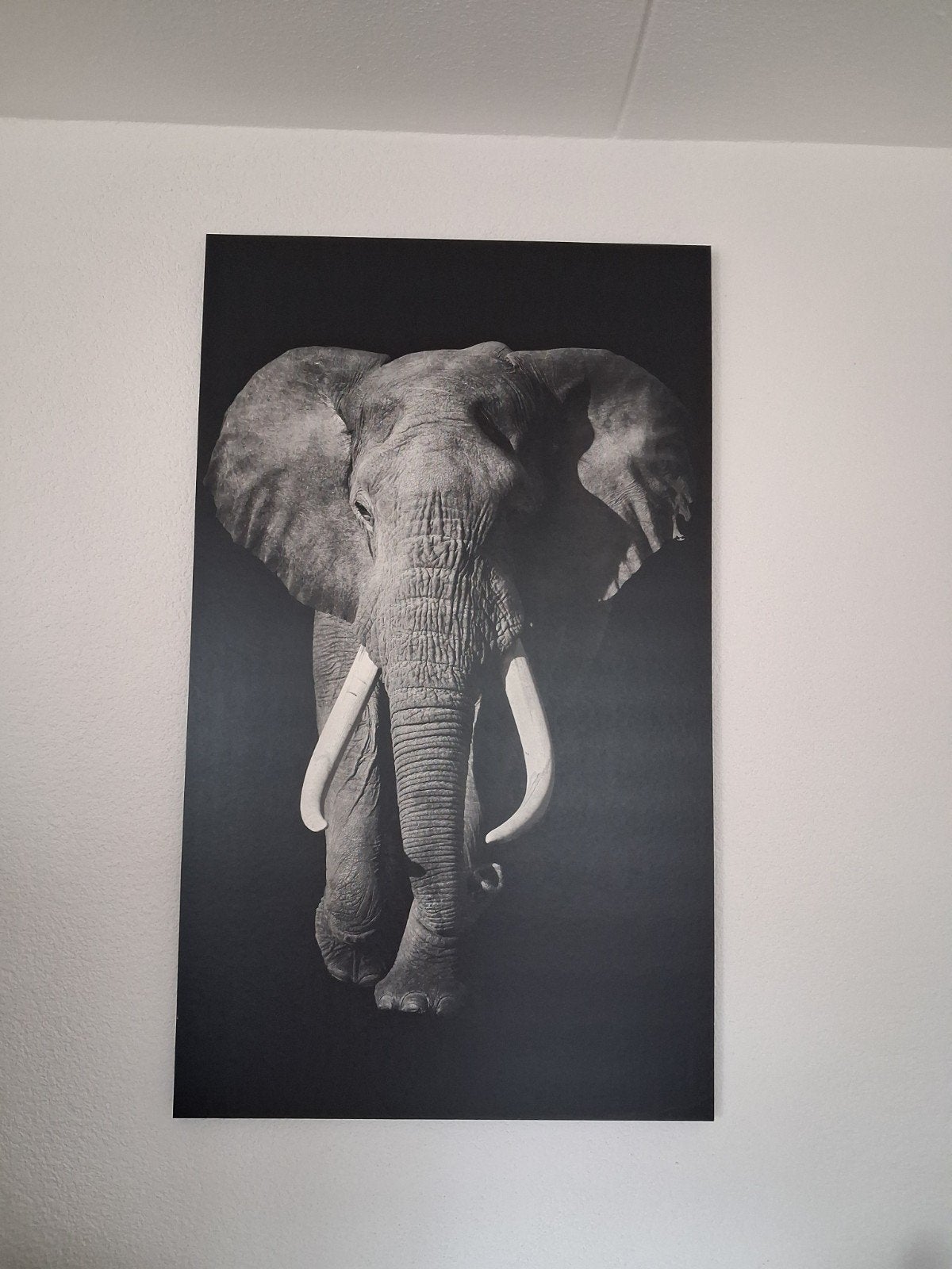 schilderij olifant, Ophalen, Zo goed als nieuw, Schilderij