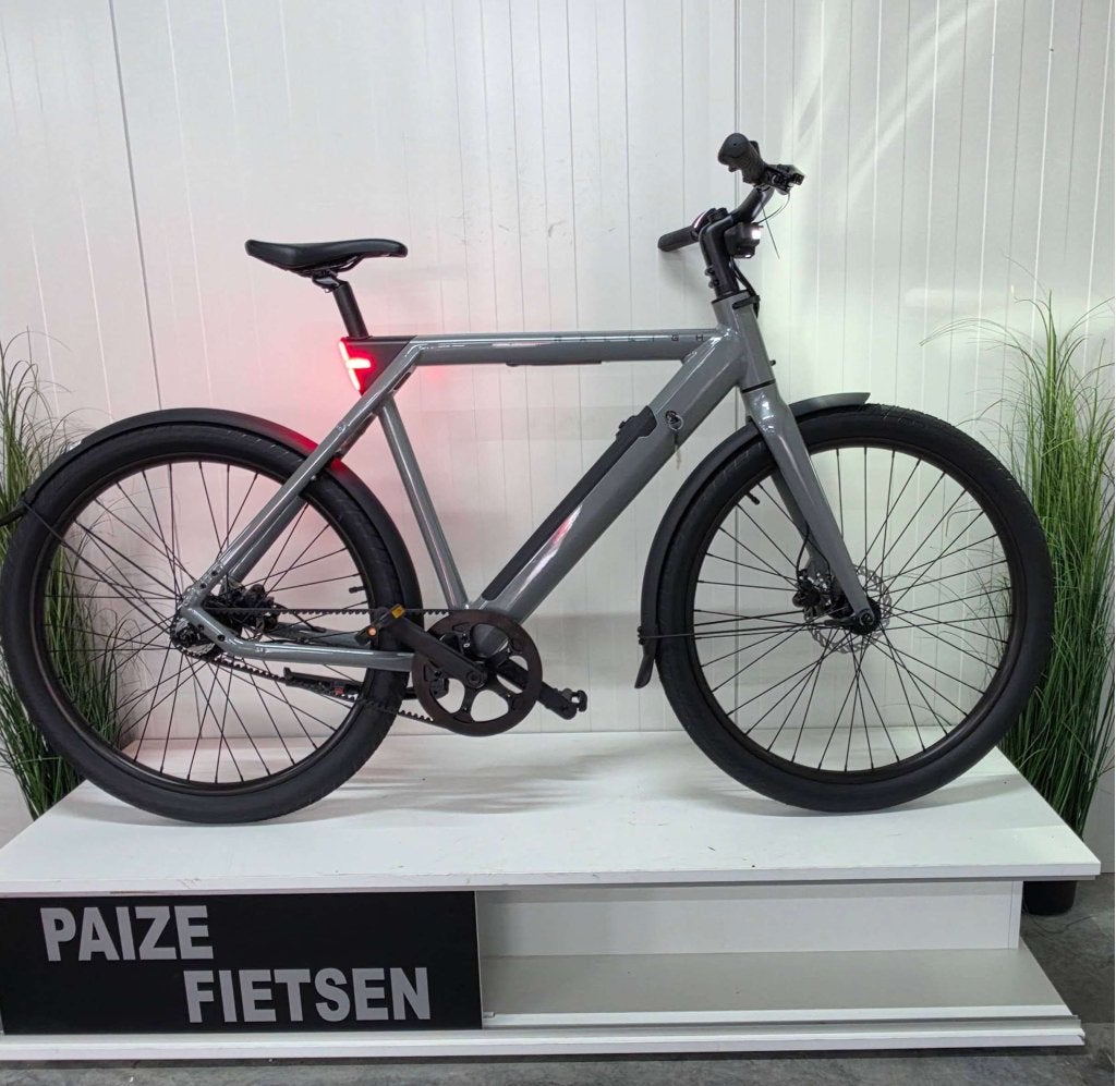 Raleigh one off Elekrische fiets frame hoogte 58 cm 27460, Niet ingevuld, Nieuw, Ophalen of Verzenden, 50 km per accu of meer