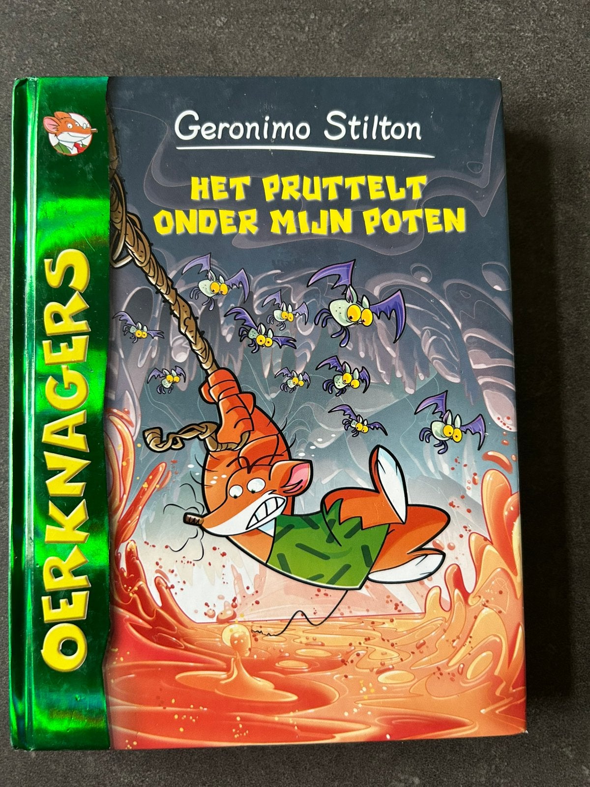 Kinderboeken Geronimo Stilton, Boeken, Ophalen of Verzenden, Zo goed als nieuw, Fictie algemeen