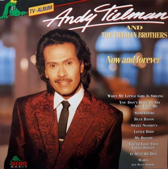 LP  -  ANDY TIELMAN, Cd's en Dvd's, Ophalen of Verzenden, Zo goed als nieuw, 12 inch
