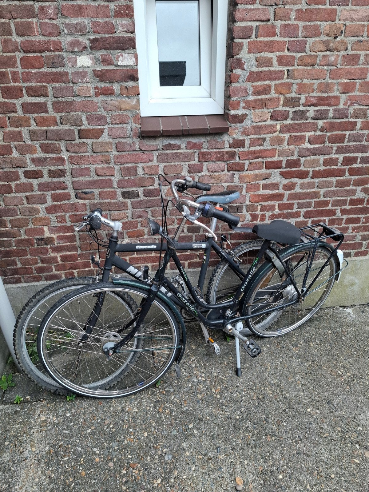 1 damesfiets en 1 mountainbike. Direct ophalen, Ophalen, Gebruikt, Velgrem, Versnellingen