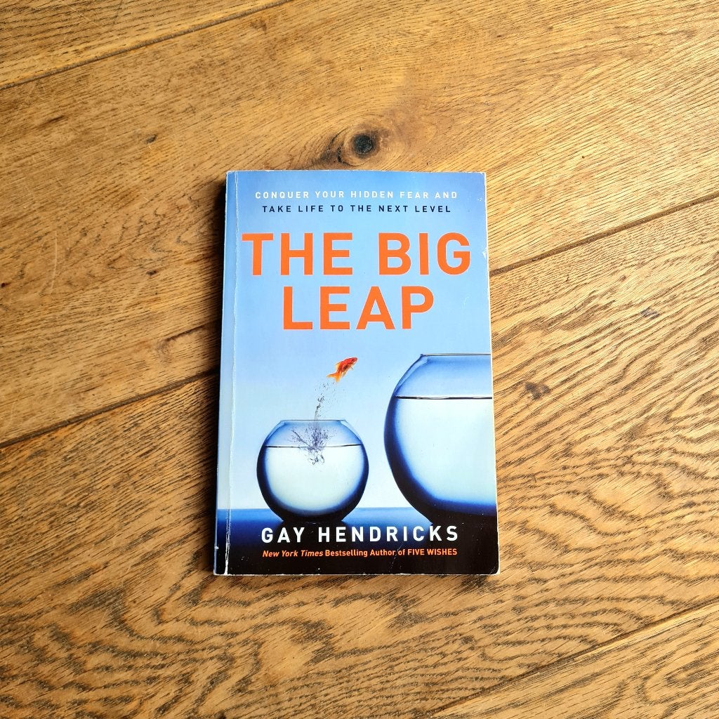 The Big Leap by Gay Hendricks, Boeken, Ophalen of Verzenden, Gelezen, Gay Hendricks