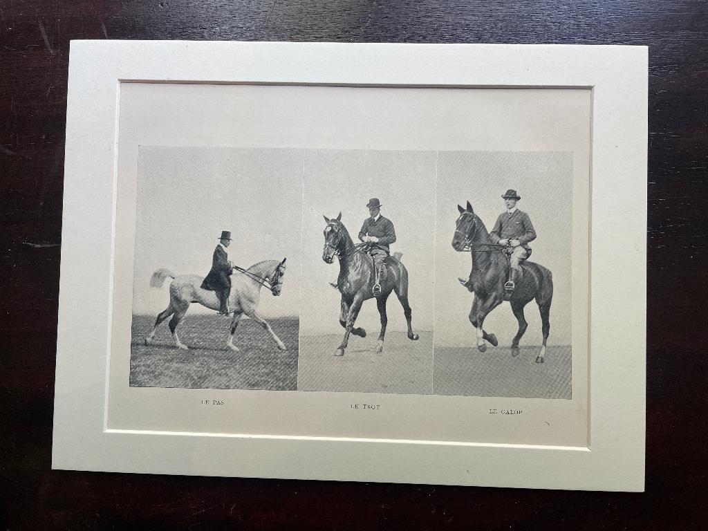 Paarden prent 1907 Le Pas Le trot Le Galop P0611-01, Antiek en Kunst, Kunst | Etsen en Gravures, Ophalen of Verzenden, Ets, 1900 - 1949