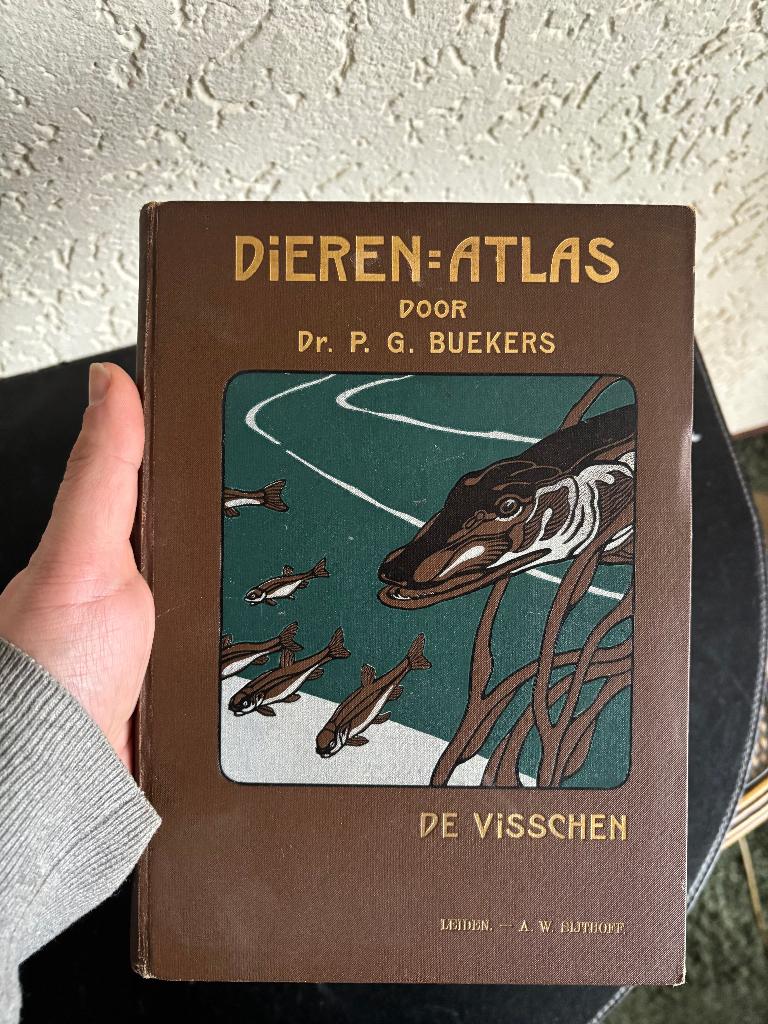 P.G. Buekers - Dierenatlas, de Visschen - ca 1903, Gelezen, P.G. Buekers, Ophalen of Verzenden, Vissen