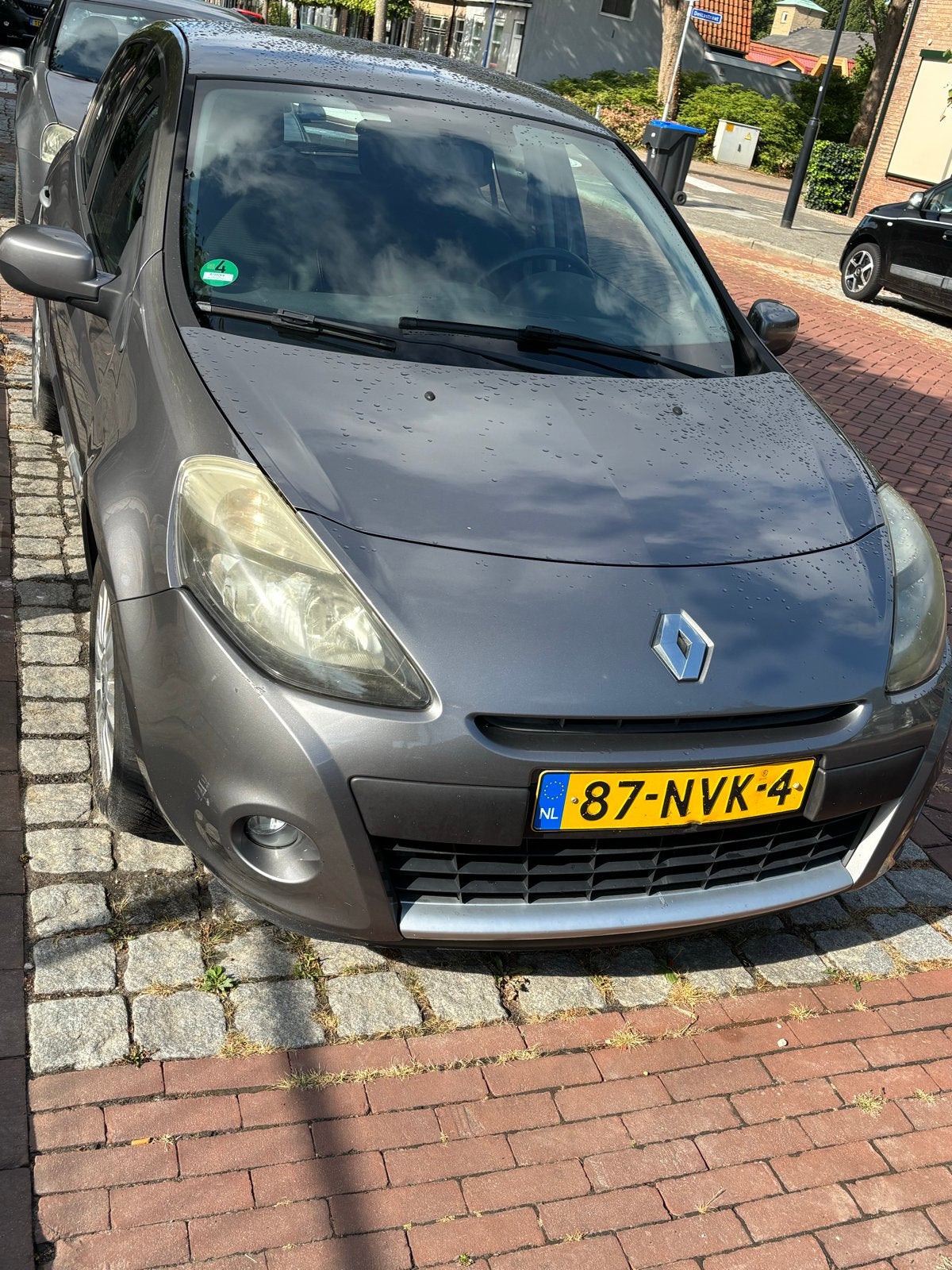 Renault Clio 1.2 TCE 5-DRS 2010 Grijs, Voorwielaandrijving, 535 kg, 4 cilinders, 100 pk
