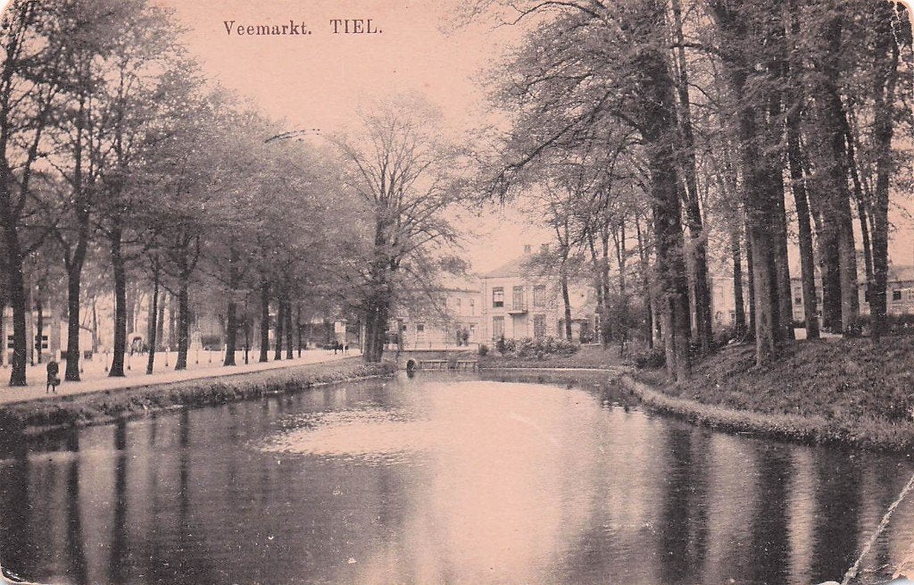 Tiel - Veemarkt met vijver (gel. 1913), Ophalen of Verzenden, Voor 1920, Gelopen, Gelderland