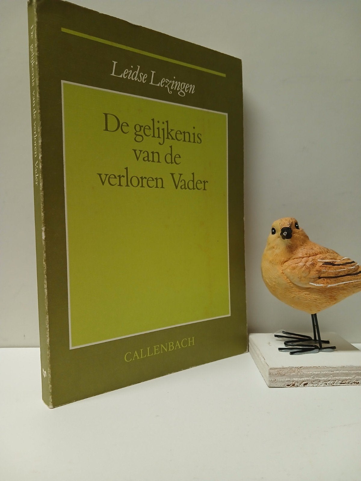 Heering, Drs. J.P. e.a. ;De gelijkenis van de verloren Vader, Ophalen of Verzenden, Gelezen, Christendom | Protestants