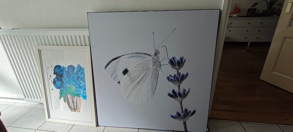 decoratieve schilderijen, Ophalen