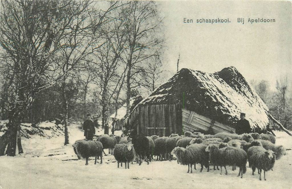 701-110-001 Apeldoorn Schaapskooi, Verzenden, Voor 1920, Gelderland