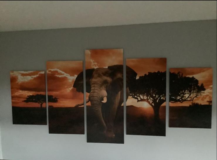 5-delig schilderij Afrikaanse olifant zonsondergang, 50 tot 75 cm, Ophalen of Verzenden, Zo goed als nieuw, Schilderij