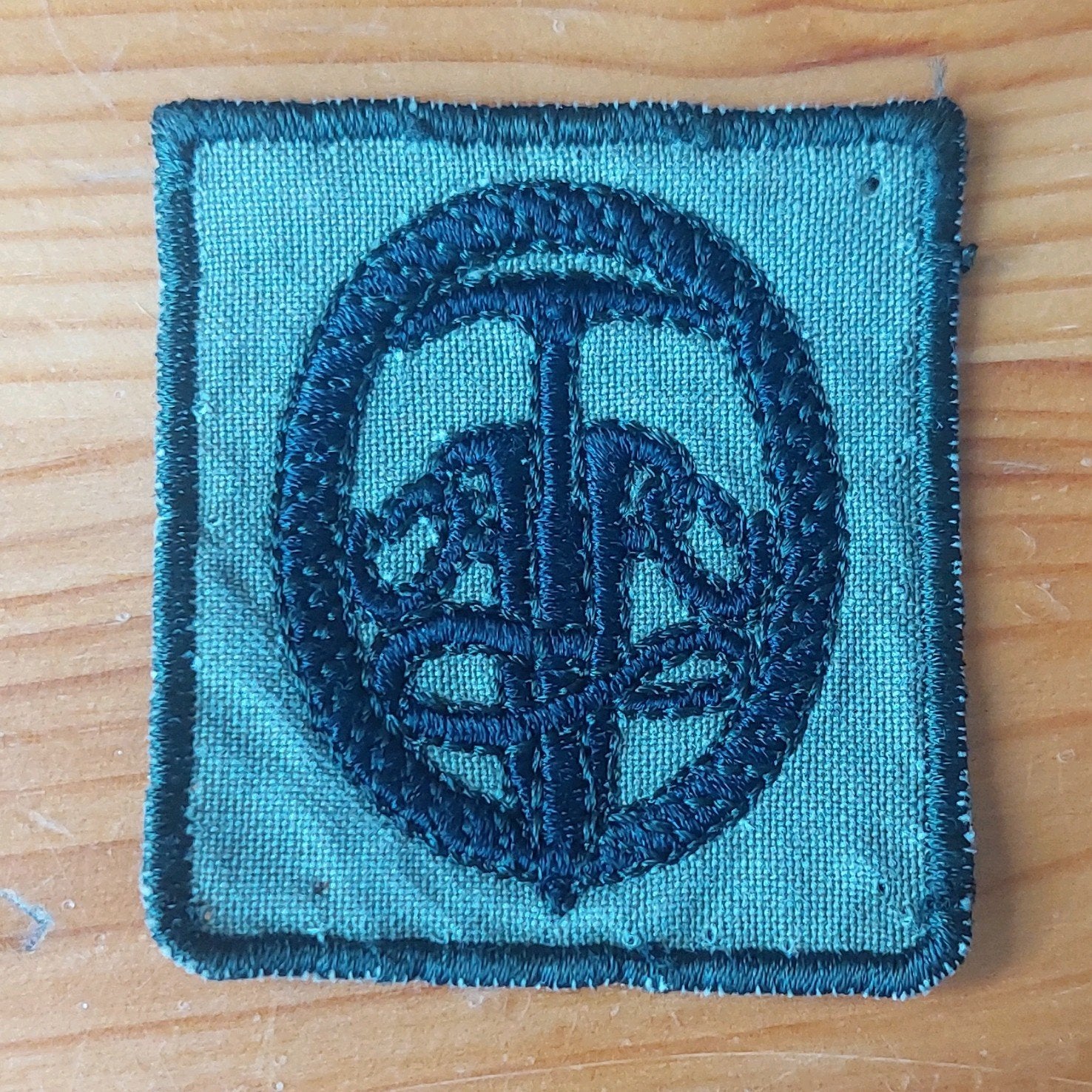 Borstembleem Rotsklimmen GVT, Ophalen of Verzenden, Landmacht, Nederland, Embleem of Badge