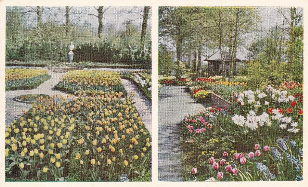 18518 Keukenhof Lisse Hillegom Noordwijk Zuid-Holland, Verzenden, 1940 tot 1960, Ongelopen, Zuid-Holland