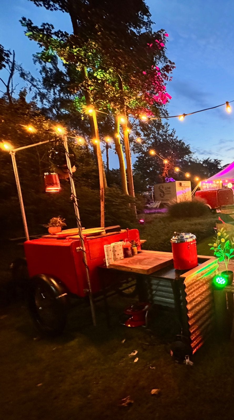 Unieke gazelle Apollo vintage bakfiets foodtruck, Ophalen of Verzenden, Gebruikt, Goederen, Gazelle