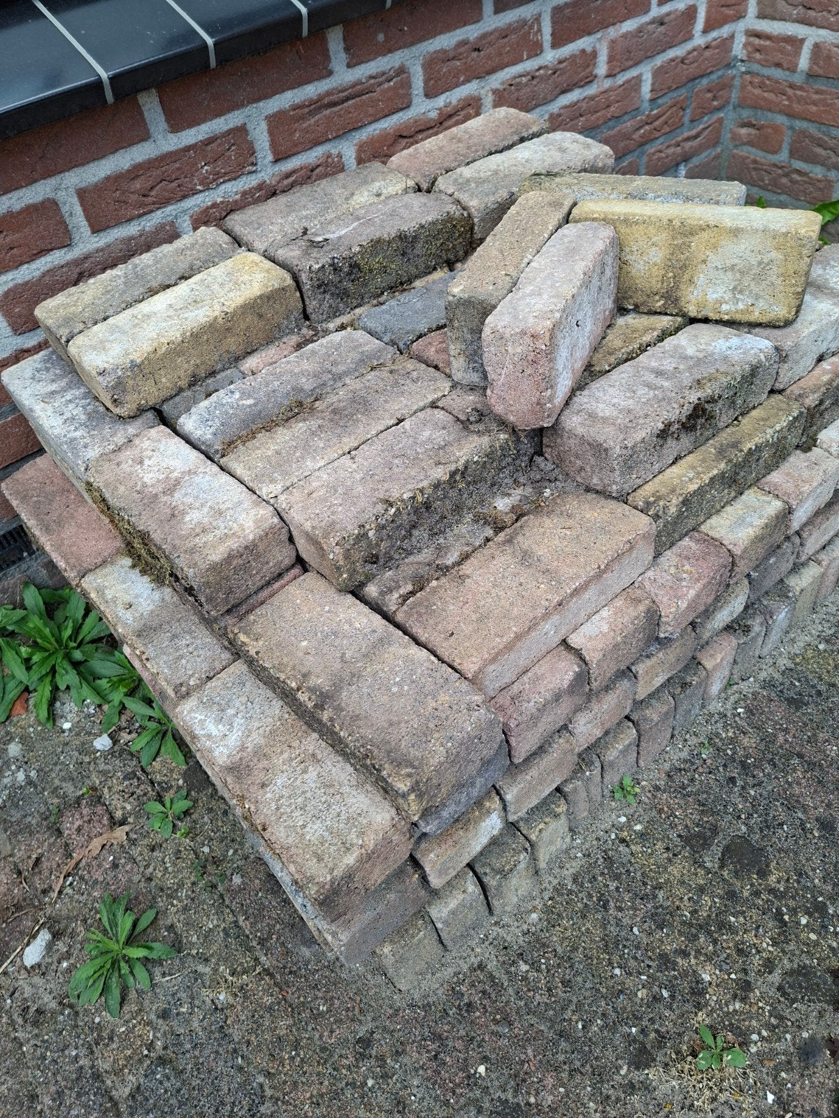 Gratis klinkers, ruim 18m2, gemeleerd van kleur, Ophalen, Gebruikt, Beton, Klinkers