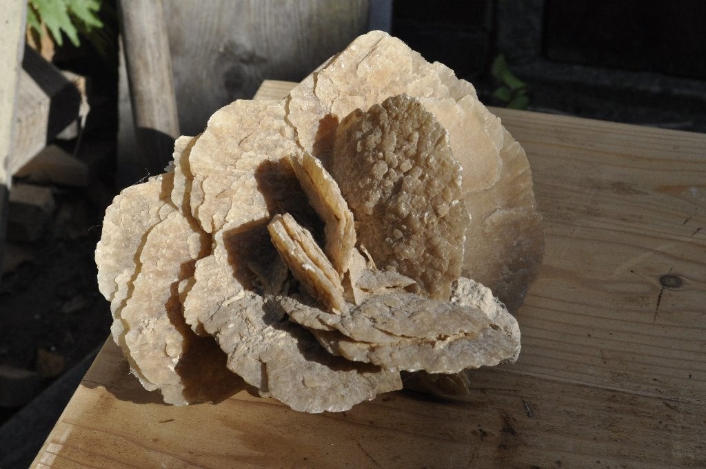Mooie grote Woestijnroos mineraal steen., Ophalen of Verzenden, Mineraal