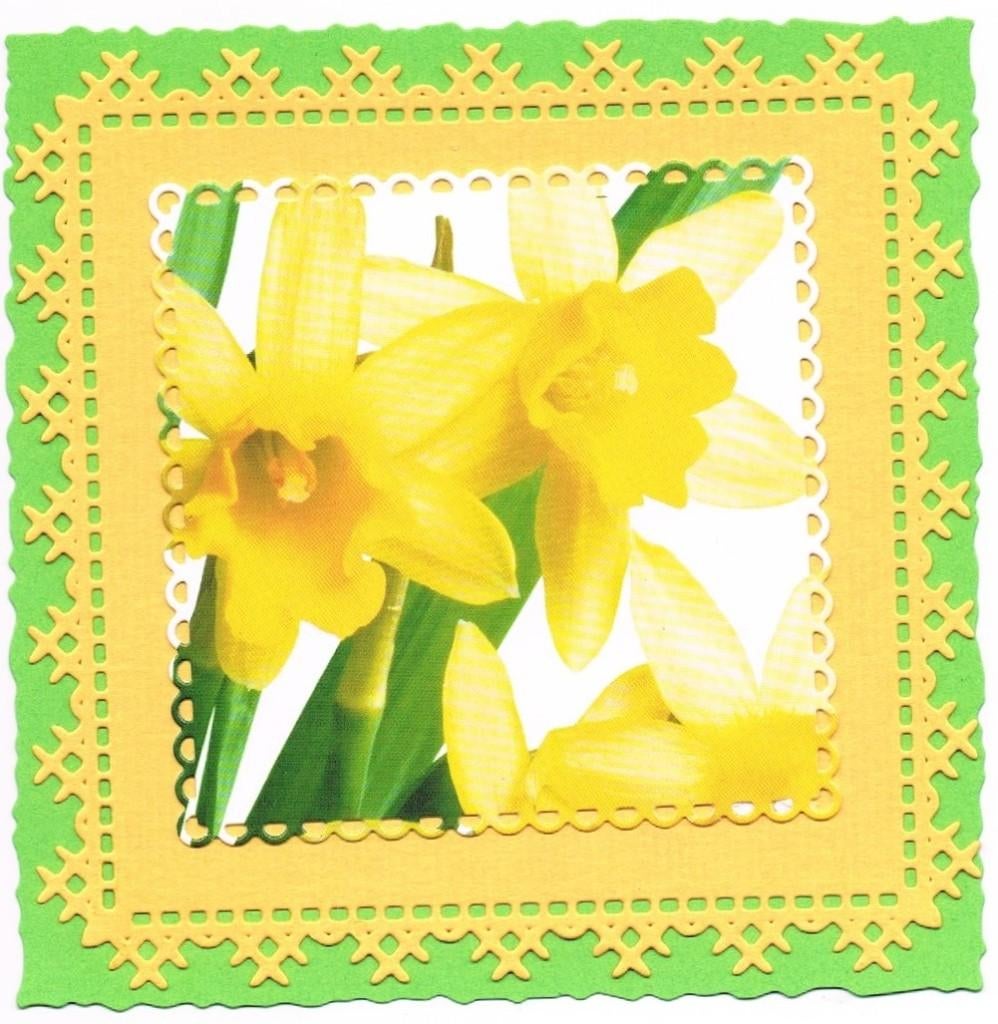 opleg bloemen, Ophalen of Verzenden, Nieuw, Natuur, Pons of Mal