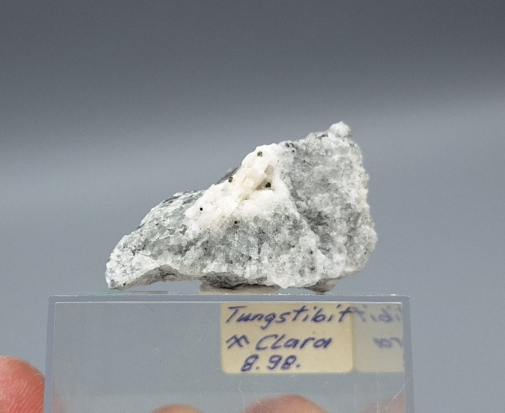Tungstibiet - Grube Clara, Duitsland (tl), Ophalen of Verzenden, Mineraal
