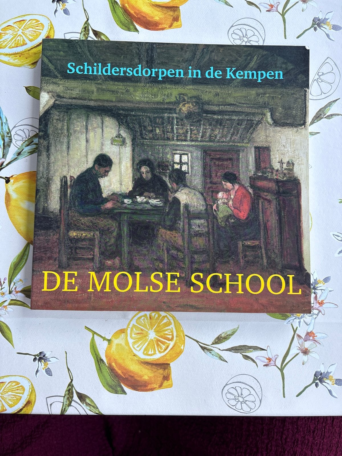 Schildersdorpen in de Kempen: De Molse School, Ophalen of Verzenden, Zo goed als nieuw, Schilder- en Tekenkunst