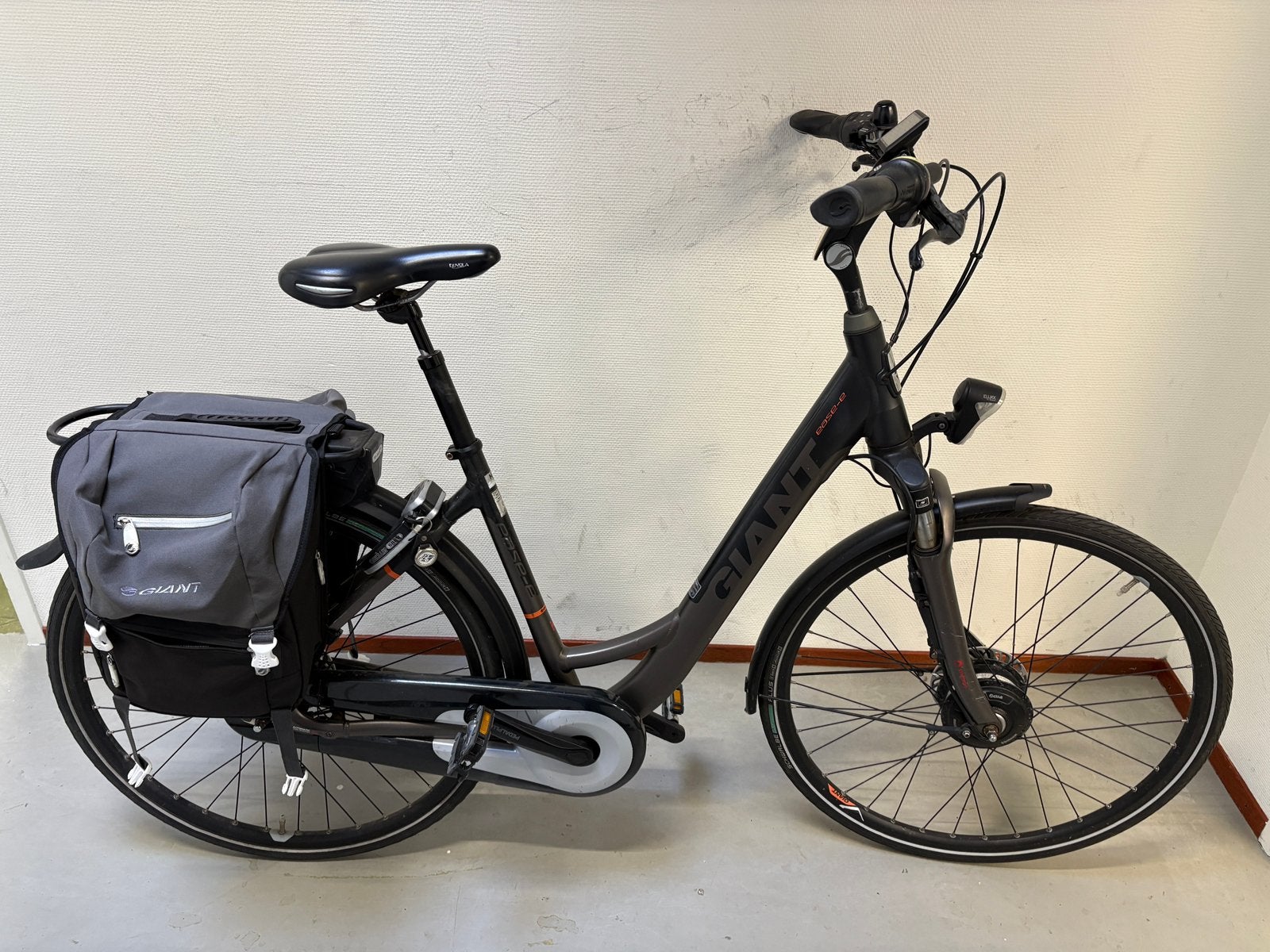 Giant ease e-bike dubbele accu 53cm frame, Fietsen en Brommers, Ophalen, Gebruikt, Giant, 51 tot 55 cm